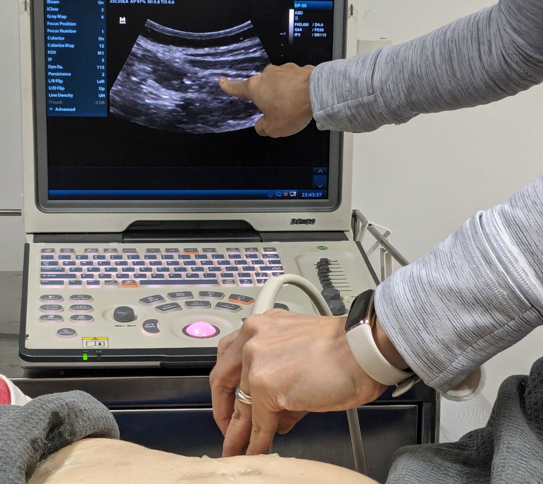 The Benefits Of Real Time Ultrasound For Men | PhysioCentral